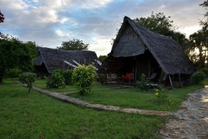 Bahari Pori Bandas Pangani Tanzania