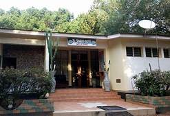 The Elephant Motel Mkomazi Tanzania