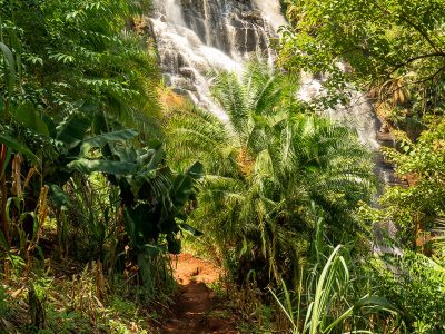 Usambara Kiasa Waterfall Tanzania