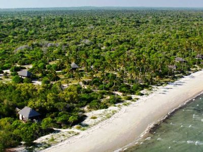 saadani-national-park-coastline-Tanzania