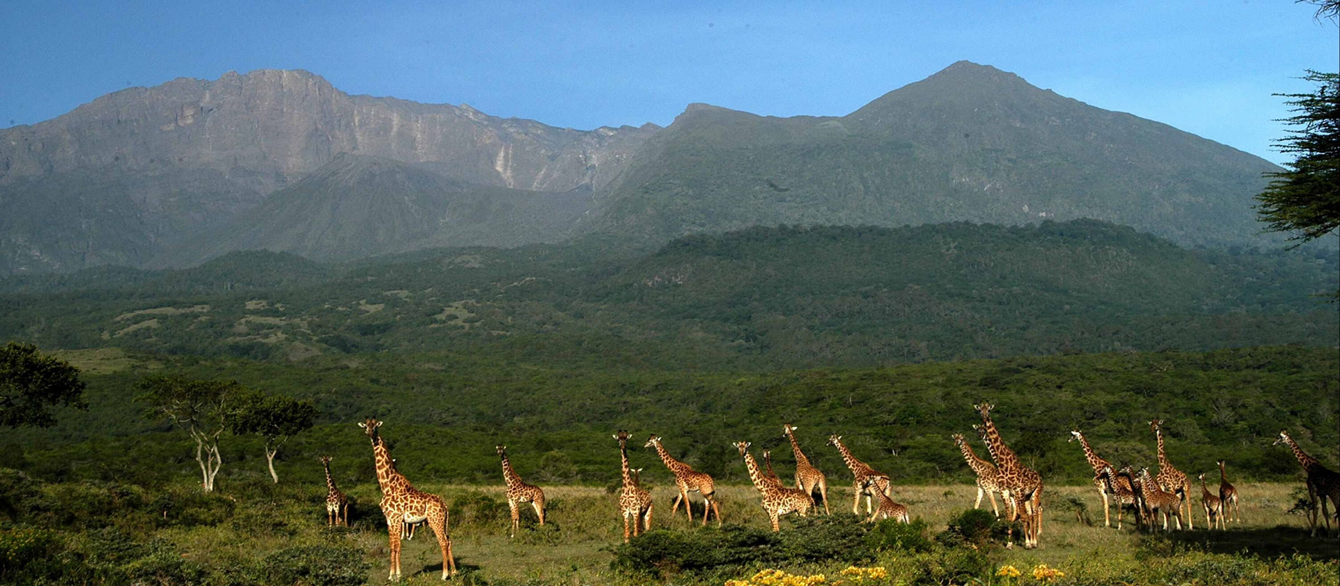 arusha-national-park